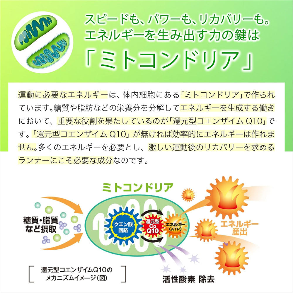 還元型コエンザイムQ10使用！アクティブライフを支えるジェル＆パウダー