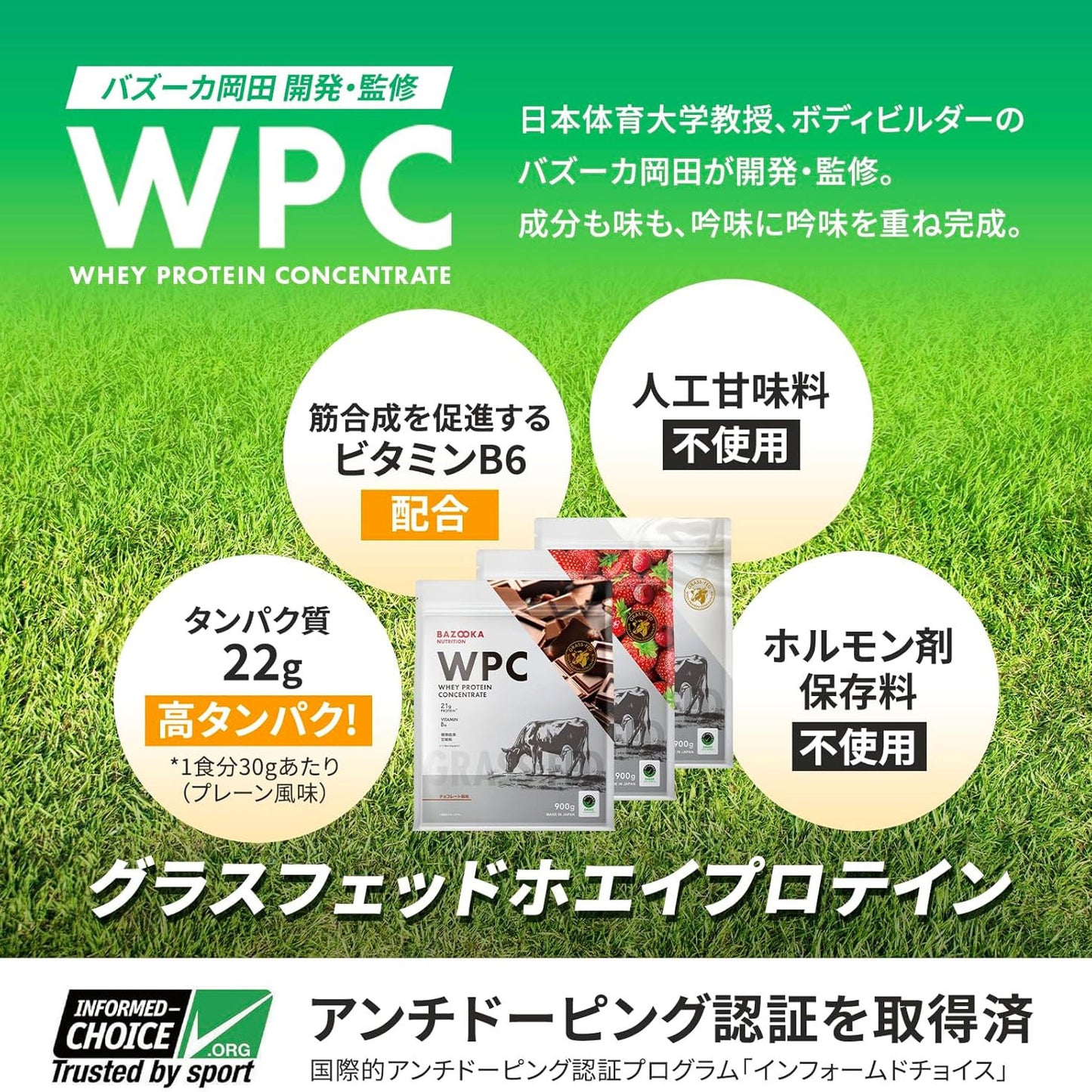 甘さ控えめ バズーカー岡田監修 ホエイプロテイン WPC 900g