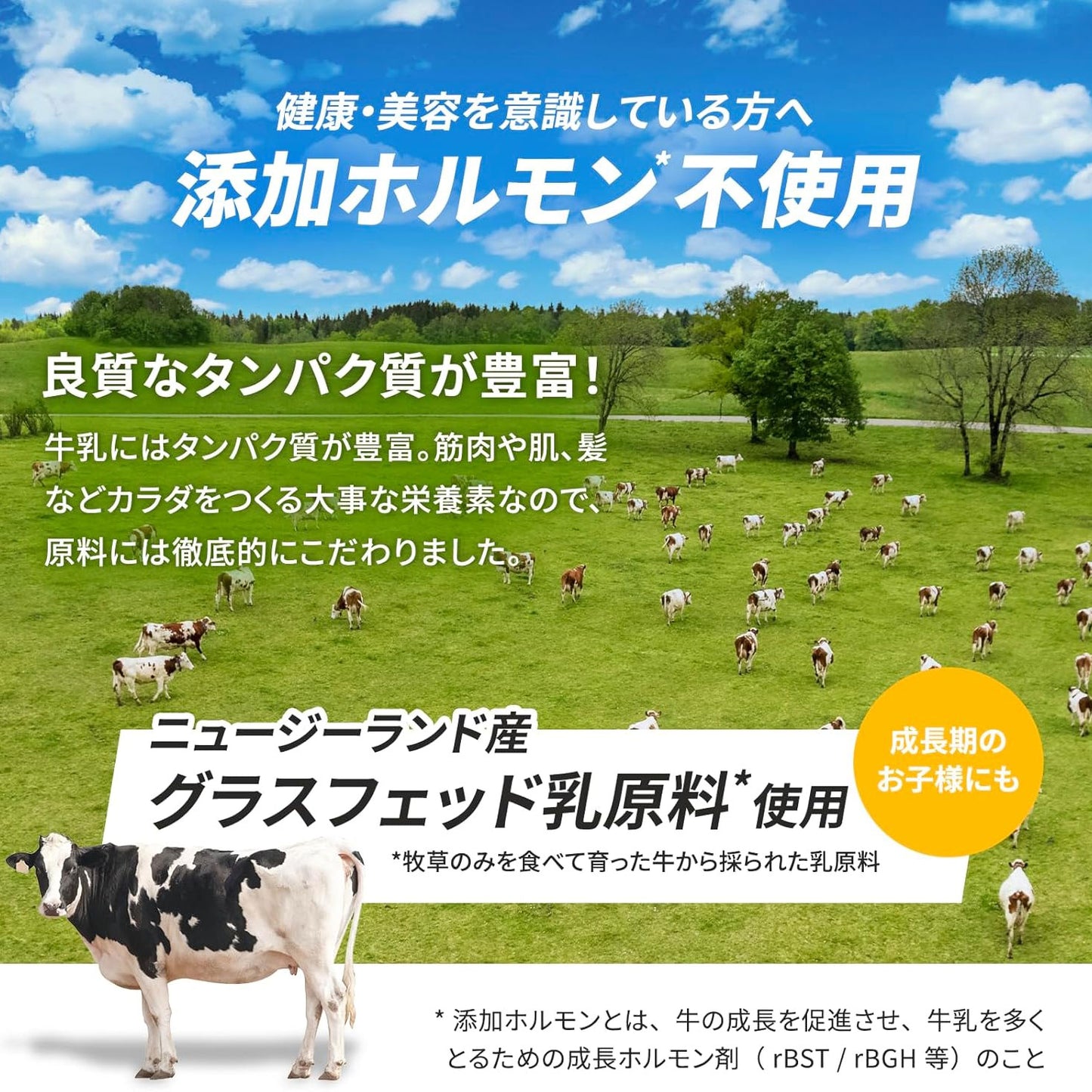 甘さ控えめ バズーカー岡田監修 ホエイプロテイン WPC 900g
